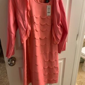 NWT scallop shift dress with cardigan